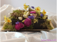 1_512503527