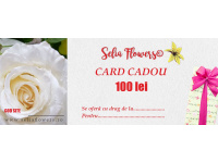 card_100lei_414396938
