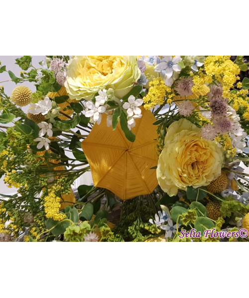 12_185039484