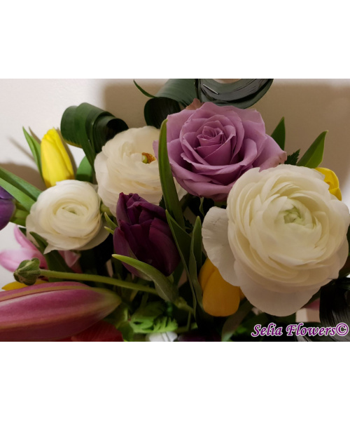 20190316_004653