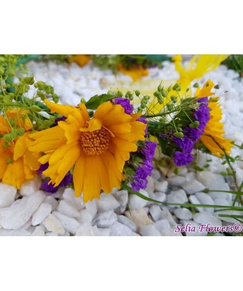 20190607_155716