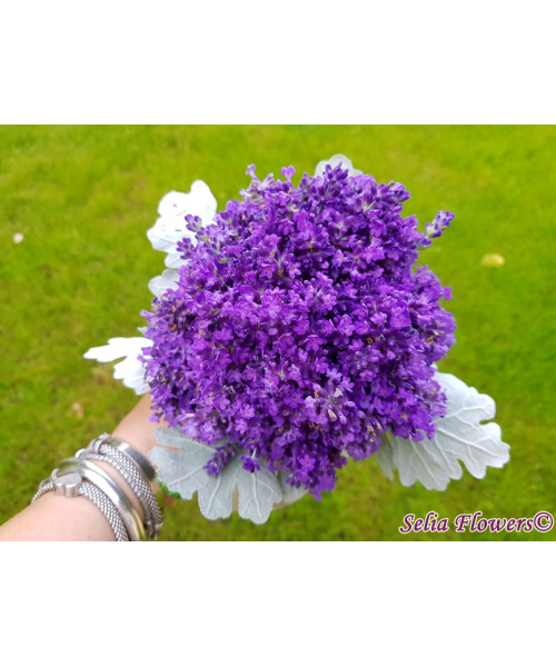 20190611_202015_1446537820