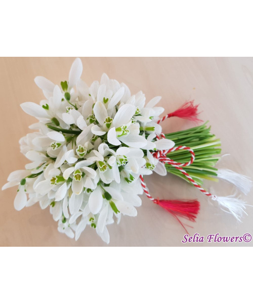 2_1116218334