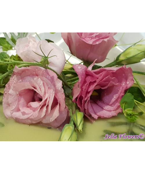 7_1734095454