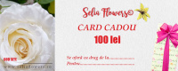 card_100lei_414396938